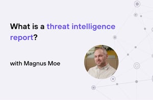 Magnus - Putting together a report